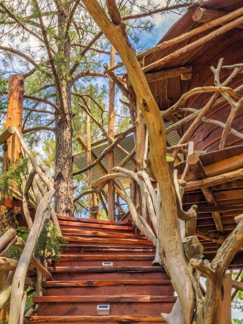 Handcrafted Hobbit's Nest treehouse among the pines of the Lost Pines forest