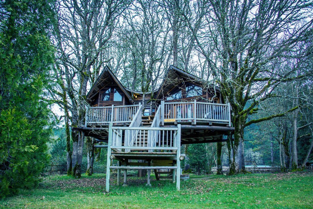 Predio de Out 'N' About Treehouse Treesort entre bosques, foto 3