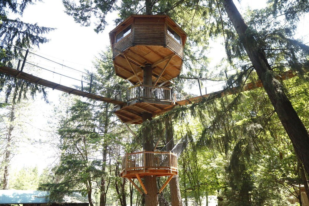 Entorno de Out 'N' About Treehouse Treesort en Oregón, foto 6