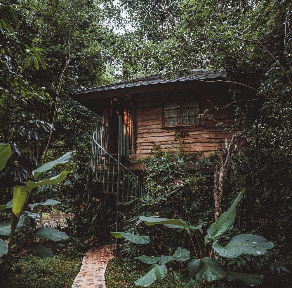 Roots Tree House pool or garden area, photo 4